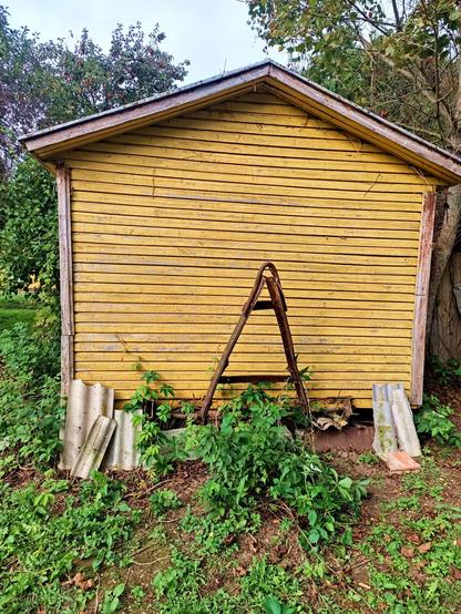 Back of a shed. The shed is made of wood with a metal roof and painted yellow. In the middle of this side is a large steel drawbar with a towing ring welded onto it. Someone flipped it up today. There's greenery growing around it.