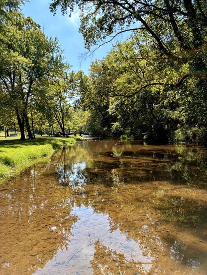 A view of a creek beside a grassy parking area on the left, where several cars are parked. The right bank is lined with dense trees. The creek flows under a sunny sky with a few clouds visible.