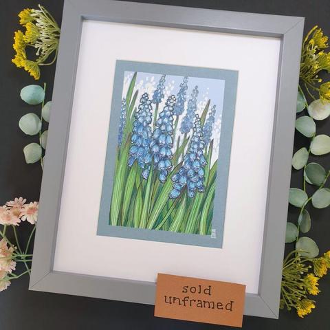 A small colour drawing of a patch of blue Grape Hyacinth flowers, also known Muscari.
They are beautiful spring bulbs that flower in springtime. They produce clusters of delicate, bell-shaped blooms in various colours, in this case blue.
An original art work
Colour pencil and mixed media on acid free toned artist paper
5 by 7 inches (12.7 by 17.8 cm).
Sold unframed
