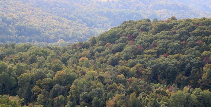 Photograph of hills covered with forest, in the soft evening light of September. The trees are mostly green but they just starting to turn into their Fall colours, with some red, orange and yellow appearing here and there. The hills in the background have a blueish tint.