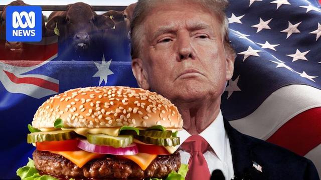 Australian cow market takes off as tariffs loom and US burger prices rise