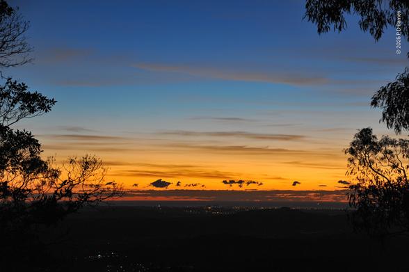 A sunrise with intense blue over intense gold, seen over the sea's horizon. The sky has scattered streaks and puffs of cloud, none yet lit by the light but just providing some texture. The plains below twinkle with lights along the shoreline, with a few in the valley as well. The scene is framed by the partial silhouettes of two eucalypts.
