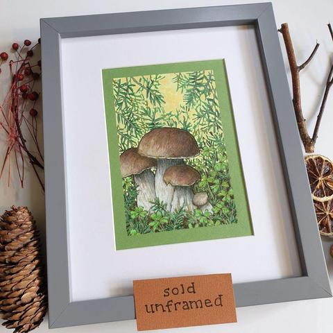 A small drawing of a group of penny bun mushrooms with clover and evergreen foliage in the undergrowth. There is a yellow and green bright background. The drawing is on green pastel paper.
An original art work, sold unframed.
Colour pencil and mixed media on acid free toned artist paper
5 by 7 inches (12.7 by 17.8 cm).