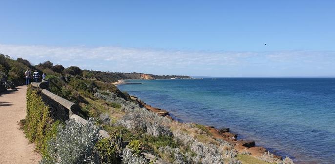 View of a curving coastline from a gravel path at the top of an incline from the beach. The incline is covered with typical low grey blue salt environment shrubs. The sea is various shades of blue. 
In the distance, the beach is punctuated by a bluff of red rock, called strangely enough "Red Bluff".