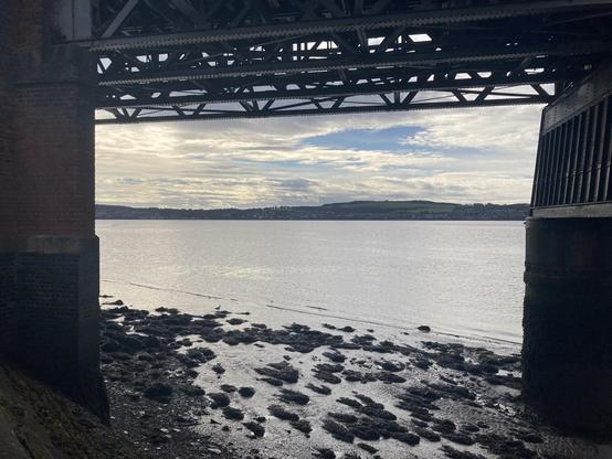 View across Tay Firth at low tide exposing sandbanks and seaweed framed by the rail bridge arching round