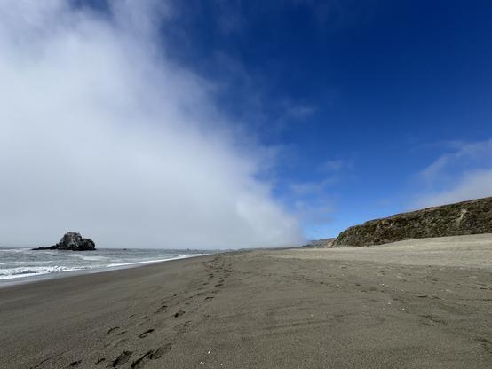 half the sky is covered in fog and the other half is brilliant blue. a line of hills curves down to the beach under the sunny half, and under the fog bank, out in the water stands a massive rock covered in pelicans.