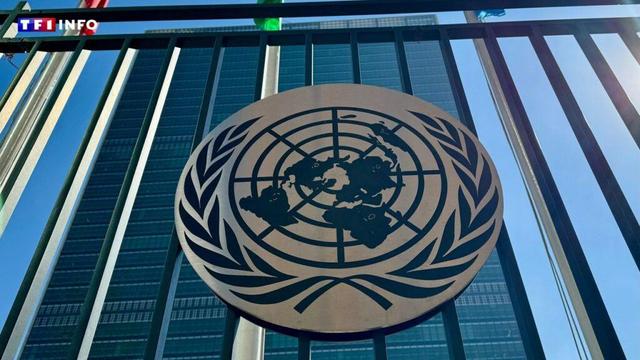 EN DIRECT - Incursion d'avions russes en Estonie : réunion d'urgence lundi du Conseil de sécurité de l'ONU