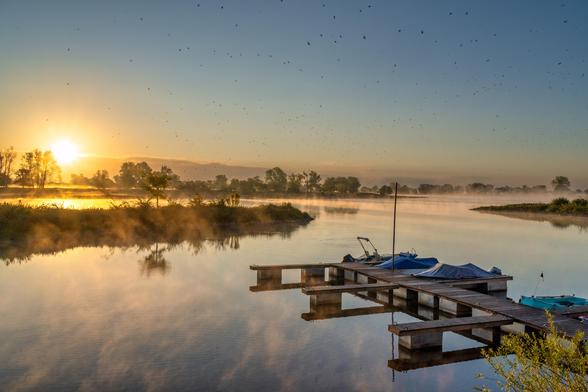Dieses Bild zeigt eine ruhige, aber belebte Morgenstimmung an einem Fluss. Der Horizont ist in ein helles, warmes Licht getaucht, das auf den Sonnenaufgang hinweist. Die Sonne, die sich am linken Bildrand befindet, strahlt stark und erzeugt ein intensives goldenes Leuchten, das sich auf dem Wasser widerspiegelt.
Im Vordergrund ist ein Holzsteg zu sehen, an dem mehrere kleinere Boote festgemacht sind. Einige davon sind mit blauen Planen abgedeckt. Die Struktur des Stegs, seine Spiegelung im Wasser und die ruhigen Boote verleihen dem Bild eine menschliche Note und einen Sinn für Aktivität.
Über dem Wasser, besonders in der Nähe der Ufer, schwebt eine leichte Dunstschicht, die dem Bild eine weiche, malerische Tiefe verleiht. In der Ferne sind die Silhouetten von Bäumen und Ufern zu erkennen.
Wie in den beiden anderen Bildern, sind auch hier am Himmel zahlreiche Vögel zu sehen. Sie sind über die gesamte Himmelsfläche verteilt und verleihen der ansonsten stillen Szene eine dynamische Komponente.
Insgesamt vermittelt das Bild eine friedliche und erfrischende Atmosphäre. Es fängt den Übergang von der nächtlichen Ruhe zur morgendlichen Aktivität auf harmonische Weise ein, wobei das warme Licht des Sonnenaufgangs die gesamte Szene in ein sanftes Glühen taucht.