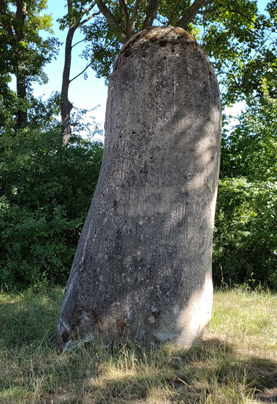Ein Menhir, ein vorgeschichtlicher, hochragender Steinblock, auch Hinkelstein.
circa vier meter hoch, bei Selzen in Rheinhessen.