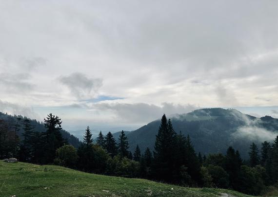 Das Bild zeigt eine malerische Berglandschaft mit einer dichten Nadelwaldvegetation im Vordergrund. Die grünen Hügel und Berge erstrecken sich in der Ferne, teilweise von Nebel umhüllt, was eine mystische Atmosphäre schafft. Der Himmel ist bedeckt mit grauen Wolken, die eine sanfte Beleuchtung über die Szene werfen. Die Landschaft wirkt ruhig und unberührt, mit einer sanften Anhöhe im Vordergrund, die von einer grünen Wiese bedeckt ist. Die Farben sind gedämpft und natürliche Töne dominiert, was die friedliche und natürliche Schönheit der Szene unterstreicht.