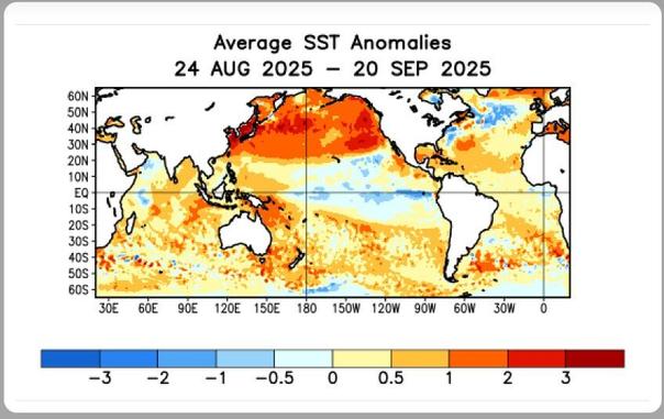 The average SST anomalies for the worlds oceans.

It's not just that the north pacific is running 3 degrees above normal, it's pretty much all of the worlds oceans being very very warm.