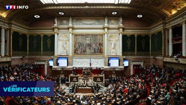 VÉRIF' - État de Palestine : en France, le Parlement avait-il déjà voté la reconnaissance il y a 11 ans ?