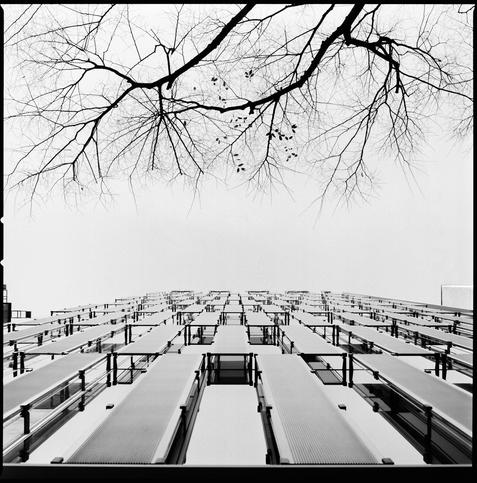 Black and white photography looking up a building, the leafless branches of a tree occupy the top third of the frame.