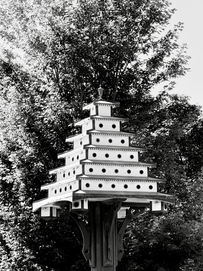 Black and white photo of a decadent birdhouse