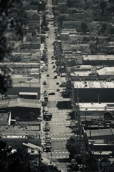 A monochrome view of a city street from high up on a hill, we see buildings and cars. There are a mix of larger commercial buildings and residential ones all up and down the block. Crosswalks of dashes in white lined up punctuate the intersections. There are some trees scattered throughout the neighborhood, some small, some older and taller. 
An out of focus tree branch is seen in the top corner of the image, suggesting we are standing under a tree on a hill when the image was taken.