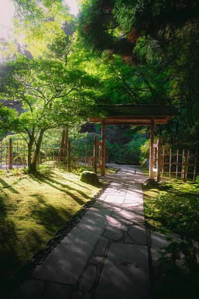 image shows a stone path with a wooden arch, moss, trees and sunlit greenery all around at The Portland Japanese Garden in Portland, OR