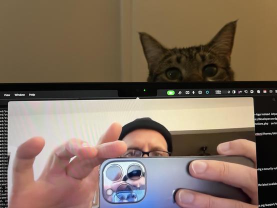 Me taking a photo with my iPhone of my laptop screen with Hand Mirror open (showing me taking the photo) and Jonesy — tabby cat — peeking from behind the display.