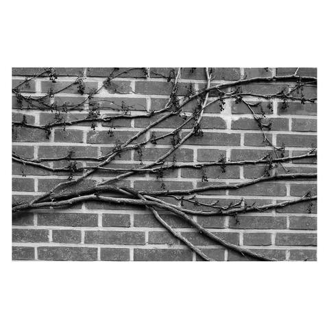 black and white photo of branches on a wall