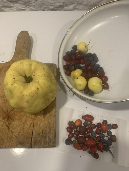 Quince , drenjine, trnjine, rosehip, hawthorn