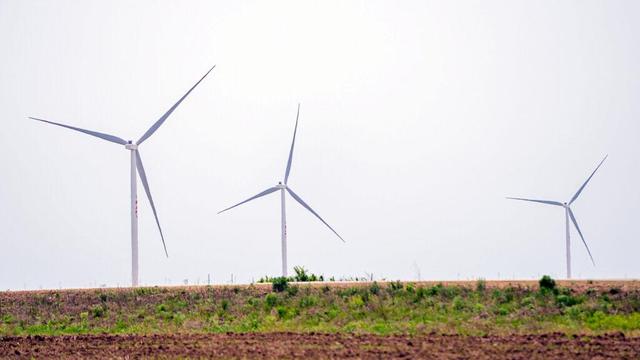 Germany expects further expansion of co-op with Azerbaijan in renewables sector