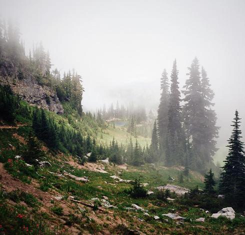 Naches Peak Loop &amp; Crystal Lake, part three - from Hikes of 2024.

This was a lovely day - a mix of fog and mist, followed by sunny skies and sparkling lakes.

Image made with my Hasselblad 500 C/M.