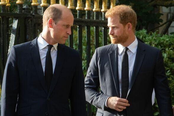 Prince Harry and William could be brought back together thanks to this one thing