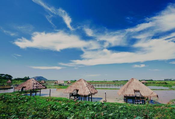 Photo shows a small artificial lake surrounded by rice fields. In the front there are three simple wooden sheds placed on pillars out in the lake with small wooden bridges from a track along a green covered dyke. The sheds have straw roofs. There is a floor with room for a small group within each shed- In the background several similar sheds are placed with access from the dykes. In the far background to the left there is a larger hill. Some forest marks the border of the lake and rice fields. It is a sunny day, and the sky is deep blue with some light white clouds creating a lively effect. Cambodia is as safe, comfortable and kind as ever. Angkor and Siem Reap welcomes visitors. Enjoy your visit to the Kingdom of Wonder.