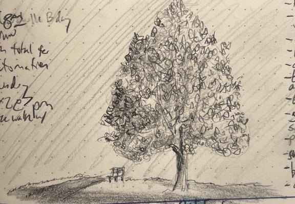 A pencil sketch of a tree near a bench and pathway, caught in the deep slanting light of late-day Michigan autumn. A pencil sketch of a tree near a bench and pathway, caught in the deep slanting light of late-day Michigan autumn.