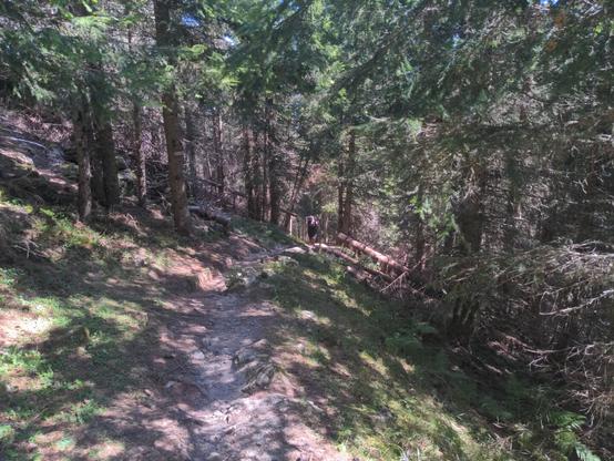 My girlfriend walks on a  hiking path which leads out of the forest. My patches of sunlight fall through the trees on the ground.
