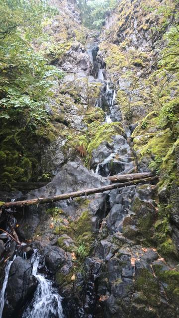 Water cascades down through crevices in the moss covered rocks. Two old logs lie across the cliff face.