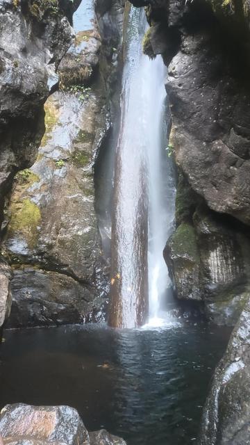A sheet of water falls into a pool in a grotto. A huge log stands vertical in the waterfall.