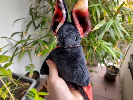 A black bat plushie held by a hand. Wings are folded together, but the insides of them, and also the ears, reveal a rather hellfire style fabric.