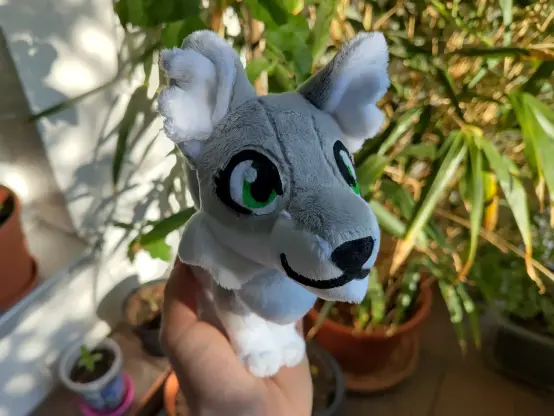 Me holding a tiny grey wolf plushie. Ignore the bamboo in the background, actually that one is even larger by now.
