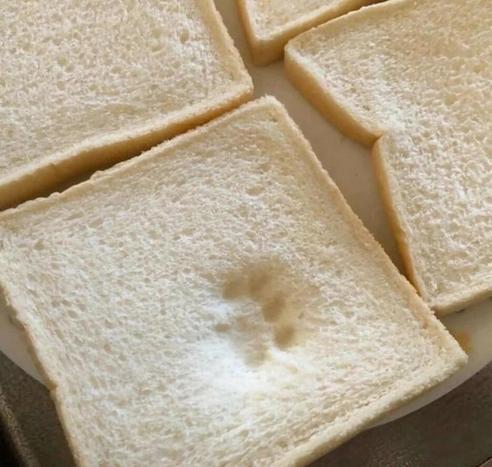 Photo of four sandwiches sitting on a plate, yet one mysteriously has a paw print shape that looks like a cat's paw. Of course, it couldn't be that because the kitties are not allowed on the counter...