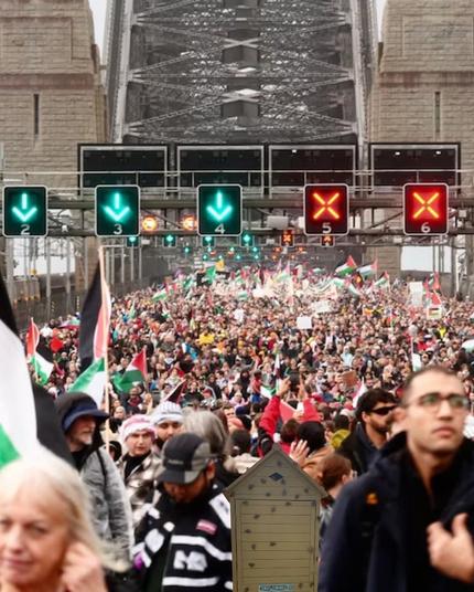 A picture from the Free Palestine March and protest across Sydney Harbour Bridge. Someone has edited the street library into the front of the picture, as though it attended. The library is a small yellow cupboard shaped vaguely like a beehive, with tiny brass bees stuck on it.