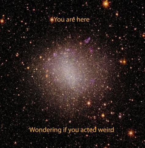 Picture of a galaxy with many stars. Caption: "You are here, wondering if you acted weird."
