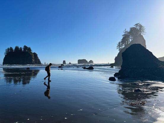 A man walks between sea stacks on a beach in Olympic National Park, Washington. A man walks between sea stacks on a beach in Olympic National Park, Washington.