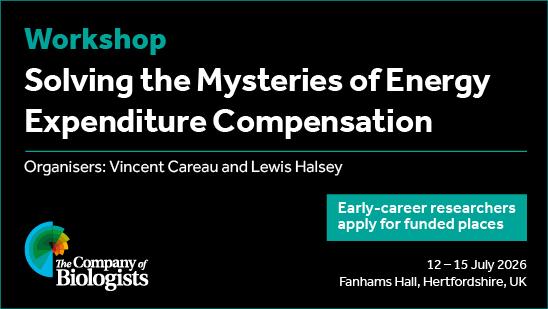 The Company of Biologists Workshop
Solving the Mysteries of Energy Expenditure Compensation
Organisers: Vincent Careau and Lewis Halsey
Early-career researchers apply for funded places
12-15 July 2026
Fanhams Hall, Hertfordshire, UK