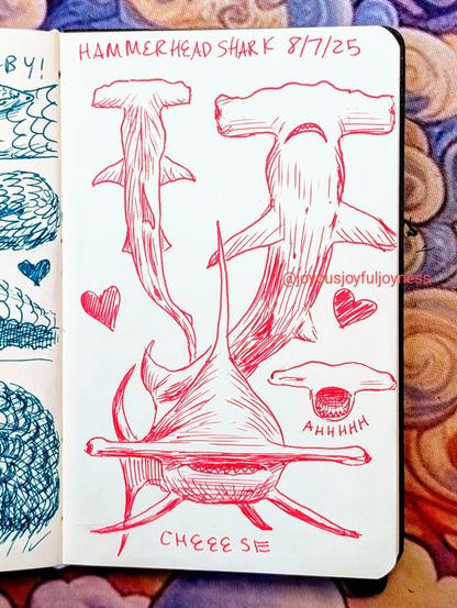 Sketchbook page of 4 drawings of Hammerhead Sharks in pink pen. At the top of the page is the text Hammerhead Shark and 8/7/25. The top left Shark is from the top and a heart. To the right is a Shark from the bottom and a heart. At the bottom is a Shark swimming towards the viewer and the text Cheeese. To the right is a small Shark with its mouth open and the text Ahhhhh.
