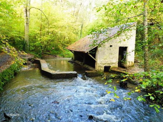 Ancien lavoir en pierre au bord d'un ruisseau en forêt, entouré de végétation dense.
Old stone washhouse by a stream in the forest, surrounded by dense vegetation.
Antiguo lavadero de piedra junto a un arroyo en el bosque, rodeado de vegetación densa. Ancien lavoir en pierre au bord d'un ruisseau en forêt, entouré de végétation dense.
Old stone washhouse by a stream in the forest, surrounded by dense vegetation.
Antiguo lavadero de piedra junto a un arroyo en el bosque, rodeado de vegetación densa.