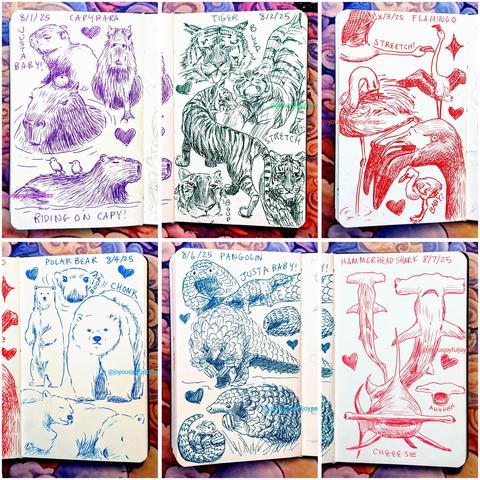 Collection of 6 sketchbook pages of drawings of Capybaras in purple pen, Tigers in green pen, Flamingos in red pen, Polar Bears in blue pen, Pangolins in teal pen, and Hammerhead Sharks in pink pen.