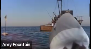 a shark face seems to appear in front of the Orca, the boat from Jaws, which is floating in the bay.  There is blood in the water near the boat.