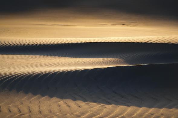 A close-up view of wind-sculpted sand dunes at sunset, with alternating ridges of golden light and deep shadow. The image highlights smooth, parallel lines of fine sand curving gently across the frame, creating a serene abstract pattern of light, texture, and form.