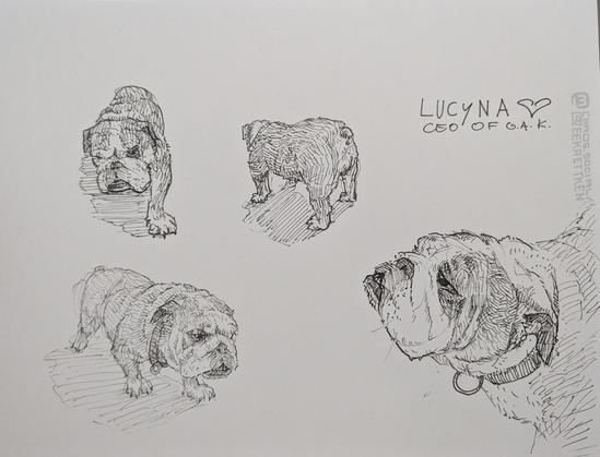 Black Fineliner on paper
Several sketches of a bulldog. Text on the upper right says:
"Lucyna (heart symbol)
CEO of G.A.K." Black Fineliner on paper
Several sketches of a bulldog. Text on the upper right says:
"Lucyna (heart symbol)
CEO of G.A.K."