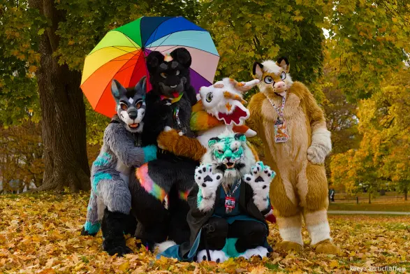 Photo of five fursuiters posing for a group photo in a park, autumn leaves everywhere. Vinny, a grey werewolf with teal highlights, and Maple, a white kemono dragon with maple leaves on their head, are crouching to the left and right of Kianga, a black jaguar fursuiter with rainbow stripes who is holding a large rainbow umbrella, their paws resting on his chest. Kody, a light brown fox stands to their right, one paw on Maple’s shoulder. Majiru, a light blue realistic tiger, is crouching in front of the group, both paws help up towards the camera.