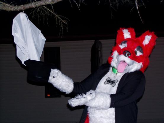 A red and white doggo fursuiter dressed up as a magician performing a trick with a Halloween ghost with his hat.