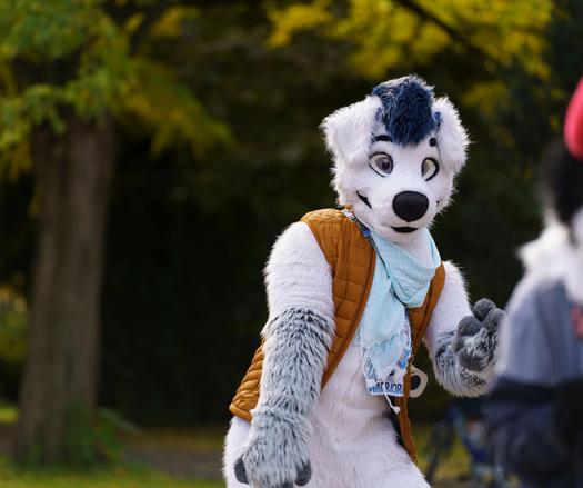 Dancing fursuiter in the wild.