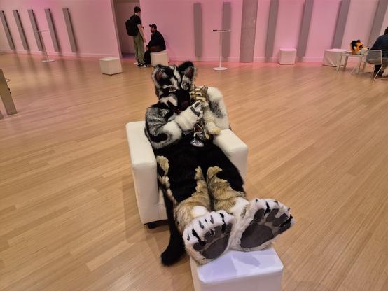 A black/gray/white wolf fursuiter who's obviously exhausted sits on a recliner, paws up, with a small wolf pawpet on his lap.
