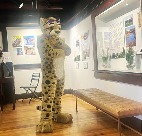 Fursuit photo of Obscura standing in a museum checking out the exhibits