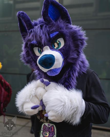 Picture of a fursuiter outside, looking really fluffy